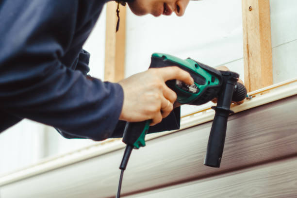 Best Siding Painting and Refinishing  in Altavista, VA